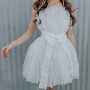 Untamed Petals Disco Mini